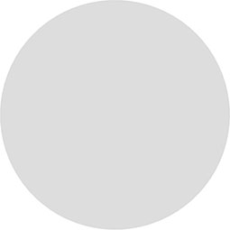 Ekena Millwork - ROSPGRY03 - Standard Grayson Bullseye Rosette with Beveled Edge