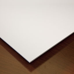 ACP - CT24X48SSPL10P - Genesis Standard Smooth Pro Lay-in Ceiling Tile, 10-Pack