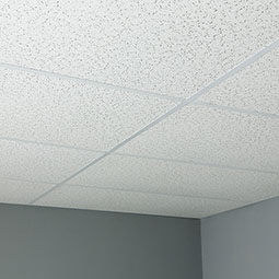 ACP - CT24X48SPPL10PWH - 23 3/4"W x 47 3/4"H Genesis Standard Printed Pro Lay-in Ceiling Tile, 10-Pack, White