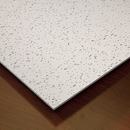 ACP - CT24X48SPPL10PWH - 23 3/4"W x 47 3/4"H Genesis Standard Printed Pro Lay-in Ceiling Tile, 10-Pack, White