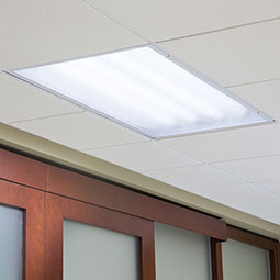 ACP - LP24X486P - Genesis Light Panel, 6-Pack