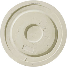 Ekena Millwork - CM18OL_P - Endurathane Oldham Ceiling Medallion, 18"OD x 1 1/4"P (Fits Canopies up to 8 5/8")