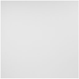 ACP - SAMPLE-CT06X06SSPL12P - Genesis Standard Smooth Pro Lay-in Ceiling Tile, 6" x 6" Sample