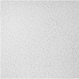 ACP - SAMPLE-CT06X06SPPL12PWH - Genesis Standard Printed Pro Lay-in Ceiling Tile, White, 6" x 6" Sample
