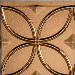 ACP - SAMPLE-FRNB - Fasade Rings Backsplash Panel, 6" x 6" Sample