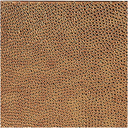 ACP - SAMPLE-FBFCT - Fasade Border Fill Decorative Vinyl Lay-in Ceiling Tile, 12" x 12" Sample