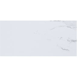 ACP - SAMPLE-PVWT - Palisade Vinyl Wall Tile Sample