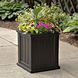 Mayne, Inc. - MP4837 - 16"W x 16"D x 18"H Cape Cod Patio Planter