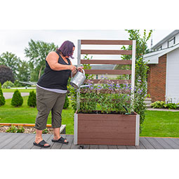 Vita - VPT - Parklette Trellis