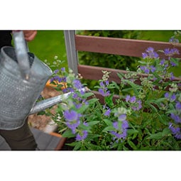 Vita - VPT - Parklette Trellis