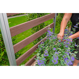 Vita - VPT - Parklette Trellis