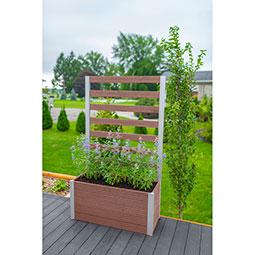 Vita - VPT - Parklette Trellis