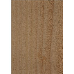 Ekena Millwork - RFTCAR00 - Rustic Wood Carmel Wood Rafter Tail