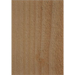 Ekena Millwork - RFTMED00 - Rustic Wood Mediterranean Wood Rafter Tail