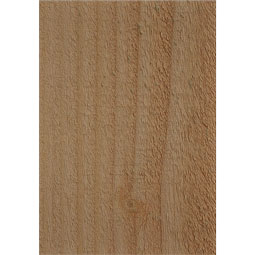 Ekena Millwork - RFTNEB00 - Rustic Wood New Brighton Wood Rafter Tail