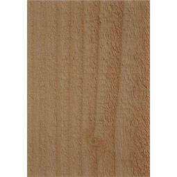 Ekena Millwork - RFTNEW00 - Rustic Wood Newport Wood Rafter Tail