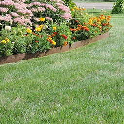Avon Plastics, Inc - MMTERRACE - Terrace Board Landscape Edging