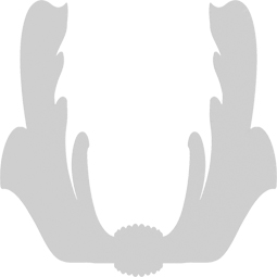 Ekena Millwork - ONLCIRNUF - Ironton Onlay