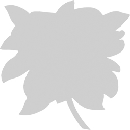 Ekena Millwork - ONLCMGNUF - Magnolia Flower Onlay