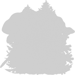 Ekena Millwork - ONLCBHXUF - Christmas Birdhouse Onlay