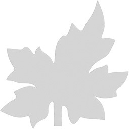 Ekena Millwork - ONLCBWTUF-L - Brewster Leaf Left Onlay