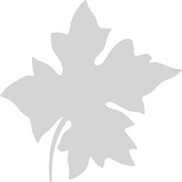 Ekena Millwork - ONLCBELUF-L - Bellingham Leaf Left Onlay