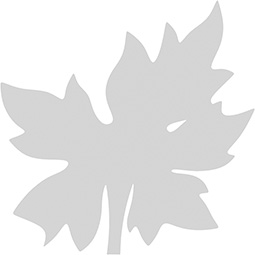 Ekena Millwork - ONLCBRIUF-L - Brier Leaf Left Onlay