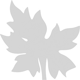 Ekena Millwork - ONLCBRIUF-R - Brier Leaf Right Onlay