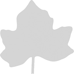 Ekena Millwork - ONLCKALUF - Kalama Flower Onlay