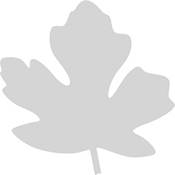 Ekena Millwork - ONLCGRNUF - Granite Falls Leaf Onlay