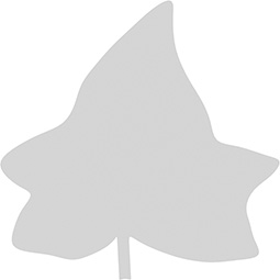 Ekena Millwork - ONLCKELUF - Kelso Leaf Onlay
