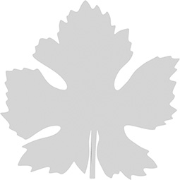 Ekena Millwork - ONLCMATUF - Mattawa Leaf Onlay