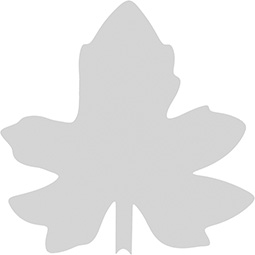 Ekena Millwork - ONLCMCLUF - McCleary Leaf Onlay