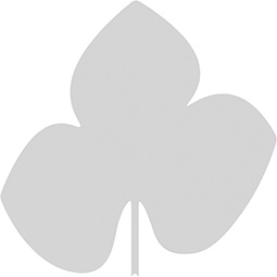 Ekena Millwork - ONLCMSRUF - Mossyrock Leaf Onlay