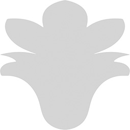 Ekena Millwork - ONLCDUGUF - Douglas Onlay