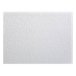 ACP - BP24X18HA - 24 1/4"W x 18 1/4"H Fasade Hammered Backsplash Panel