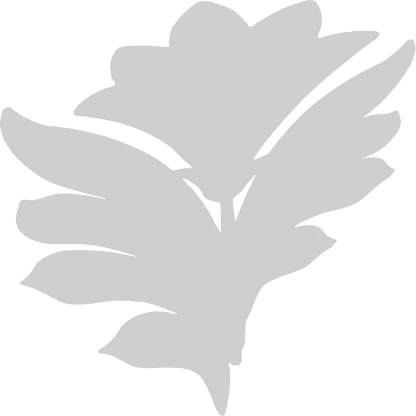 Ekena Millwork - ONLCPRKUF - Park Ridge Flower Onlay
