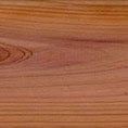 Western Red Cedar